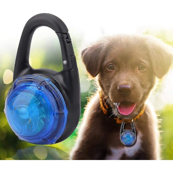 Led Pet Dog Lysende Night Walking Light Sikkerhetsanheng Hundekjede Glødende Halsbånd For Pet Dog