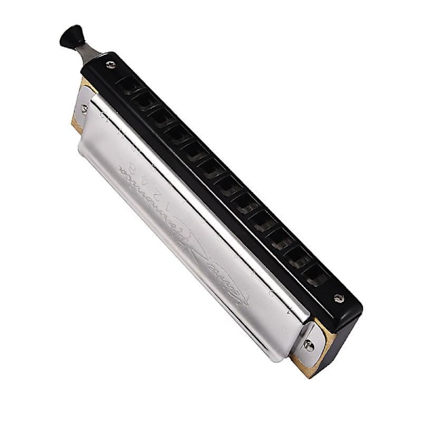 Starlight-12 Huller 48 Toner C Nøgle Kromatisk Harmonika Til Begyndere