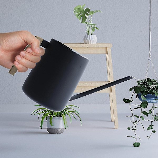 Liten Vannkanne, 1 liter Lang Tut Vannkanne For Vanning av Planter, Rustfritt Stål Små Vannkanner Med Trehåndtak For Innendørs Plantehage Blomst