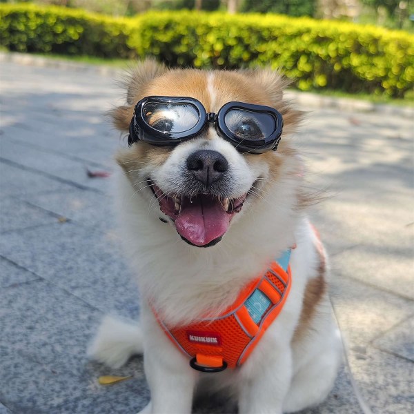 Hundesolbriller Liten rase, UV-beskyttelse Små hundebriller, vindstøvsikre små briller med justerbare stropper Black-Clear