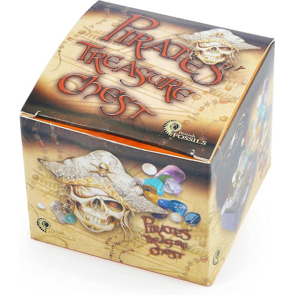 British Fossils Piraters Skattekiste