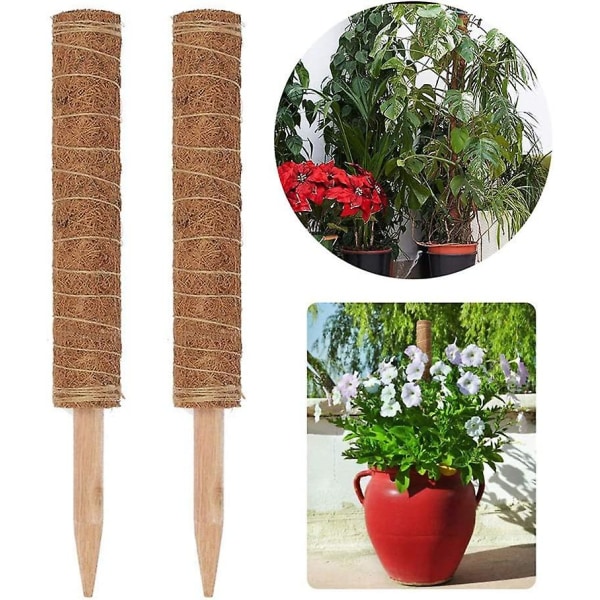 2 Stycken 40cm Kokosnötsstav, För Växtplantering Växtnamn Stöd Kokosnöt Klätterväxtstativ