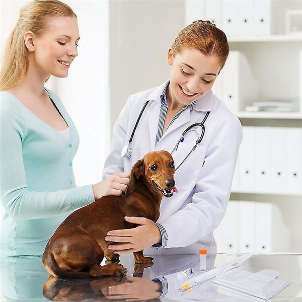 10 set avelssats konstgjord insemination Hundavelssats Inseminationsuppfödarsats för små och medelstora raser