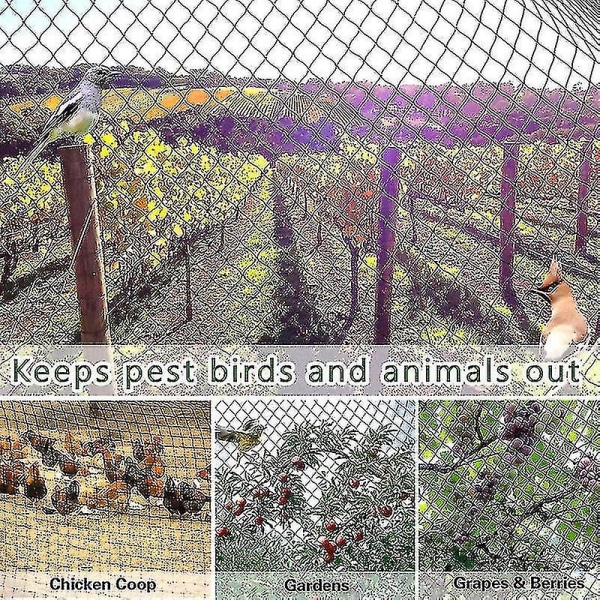 Tungt anti-fuglenet net havehegn og afgrøder Beskyttende hegnsnet Anti-fugle Hjorte Kat Hund Kylling 5x10m