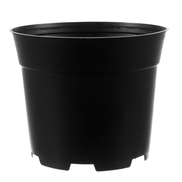 10-pak - Plantepotter/Krukker - 16 cm Sort