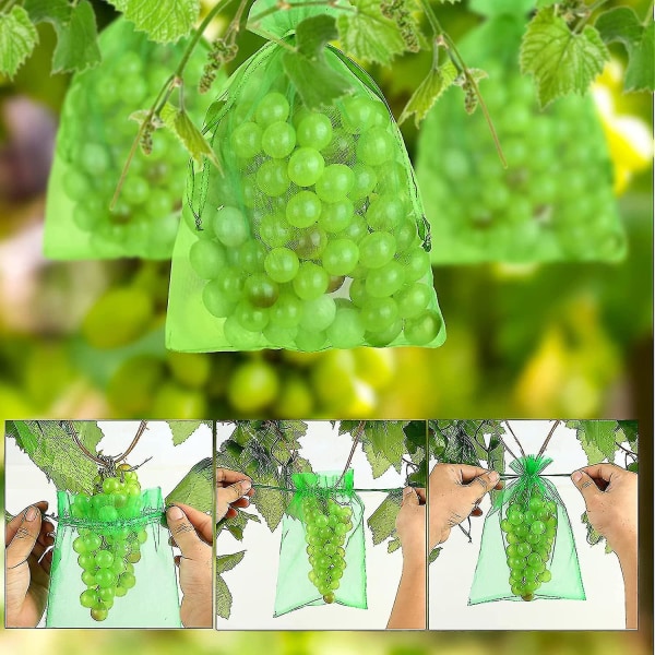 100 st Bunch Protection Bag 30x20cm/10x15cm Grape Fruit Organza Bag Med Dragsko ger totalt skydd 30cm