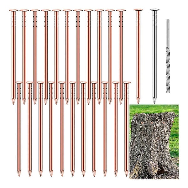 2024 25 stk. kobbernegle til at dræbe, 3,5 tommer rene kobbernegle i bulk, fjernelse af stubbe, hardwarenegle til