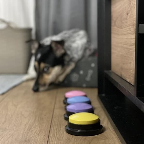 Talende knapper til hund og kat - 4 dele