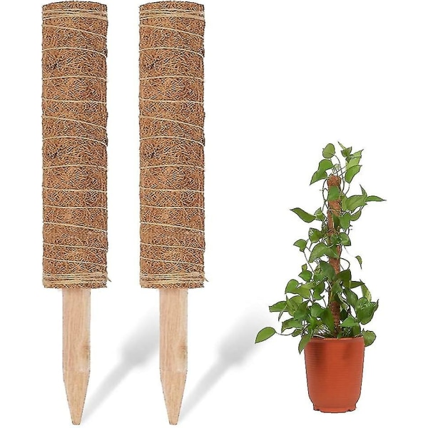 2 Stycken 40cm Kokosnötsstav, För Växtplantering Växtnamn Stöd Kokosnöt Klätterväxtstativ