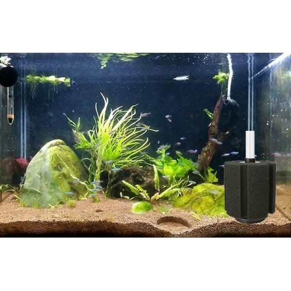 2 stk filternetbeskyttelse, svampefilter akvarieluftfilter, biokemisk svampefilter til akvarium, akvarium