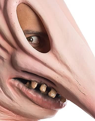 Herr Beetlejuice Adam Mask