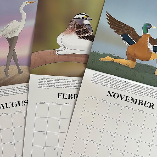 2024 Kalender med Ekstremt Præcise Fugle 2024 Fuglekalender Vægkalender 2psc