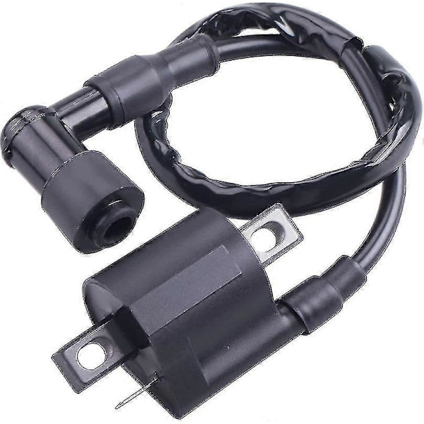 Tändspole Kompatibel Med Yamaha Pw 50 Pw50 1981-2009 Pw 80 Pw80 1981-2009 Boris