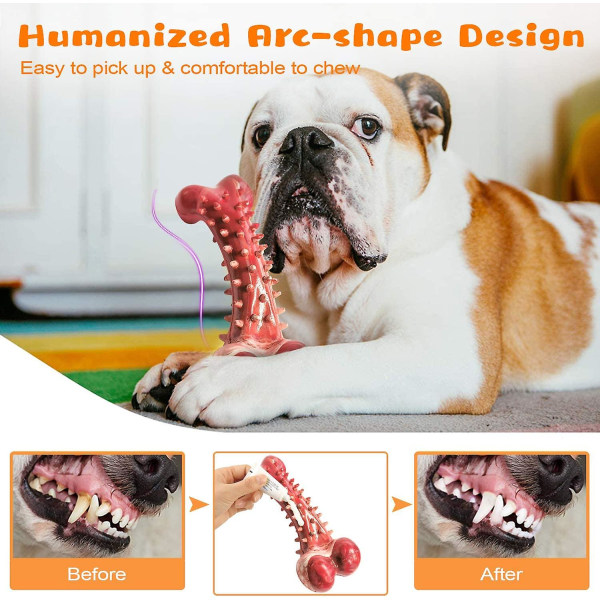Zk-hundelegetøj, Bone Dog Chew tandbørste, bidfast gummitænder rensestift til mellemstore og store hunde, oksekødsmag
