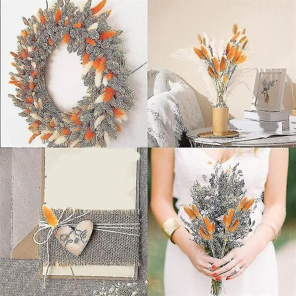 60 stk. Efterår Tørrede Blomster Harehaler Blomster Til Tørrede Blomsterarrangementer (orange)