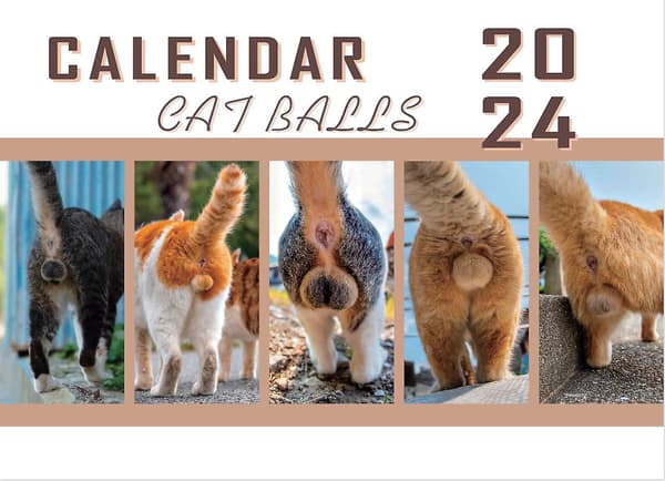 Skrivebordskalender Katte Numser 2024 Til Katteelskere - Sjov Kattekalender White One Size
