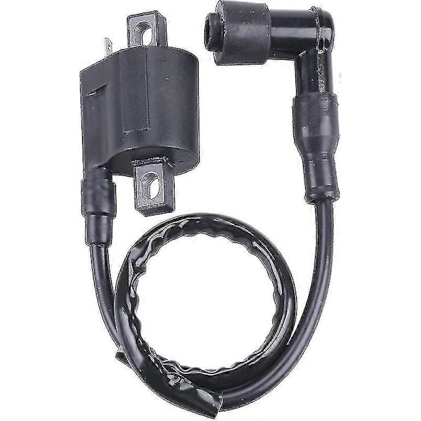 Tändspole Kompatibel Med Yamaha Pw 50 Pw50 1981-2009 Pw 80 Pw80 1981-2009 Boris