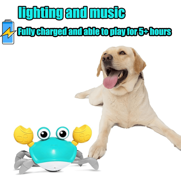 Krabbe-hundelegetøj,undslippende krabbe-hund-katte-legetøj med sensor til  undgåelse af forhindringer,interaktivt hundelegetøj med musiklyde og lys  til hunde, katte, kæledyr,chr blue c0d2 | blue | Fyndiq