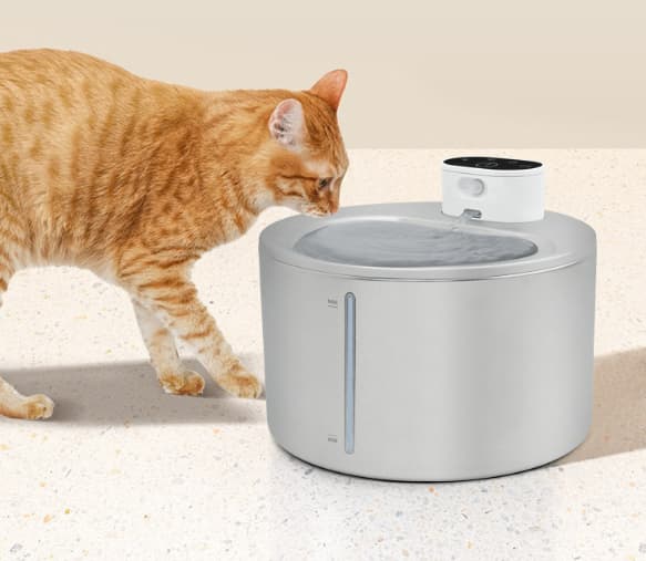 Trådløs kattevandfontæne, automatisk sensor hundedrikker, tilbehør til kæledyrsvandsdispenser