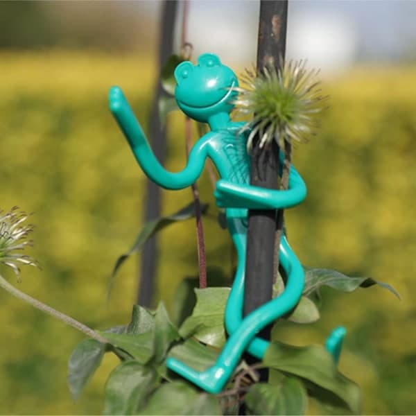 Gröna Bambupinnar Växtstöd Pinnar Vinrankeklämmor Vinranka