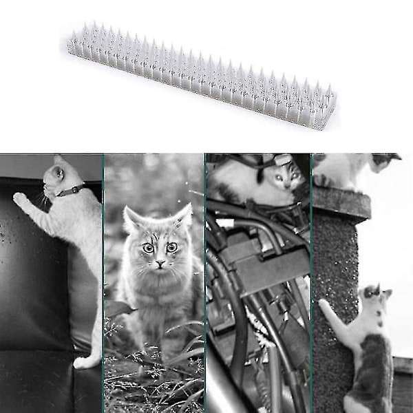 Stängselväggsspikar Katt Djuravvisande Stöldskydd Väggar Förråd Stoppa DJD