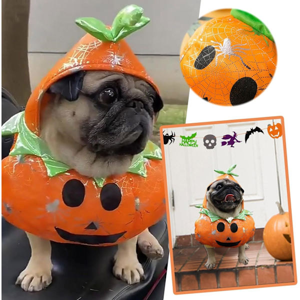 Hundedragt Kæledyrsdragt Kæledyrsdragt Cowboy Rider Style, Græskardragt til Halloween-festdekoration, Hvalpe Cosplay Kostume (X-Large)