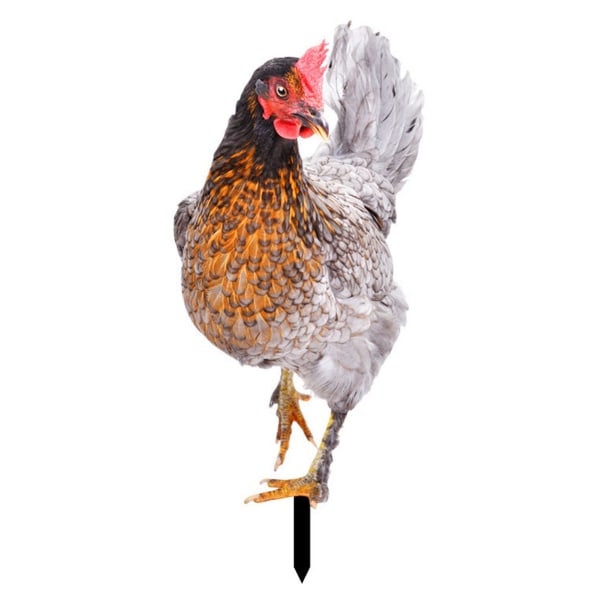 Tuppdekor Realistisk naturtrogen prydnadsdubbelsidig utskrift Akryl Trädgårdsstaty Kyckling för gård L