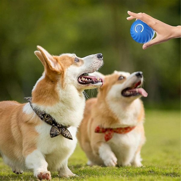 Elektronisk hundelegetøjsbold Smart bevægelig bold Automatisk hop Hundebold Kæledyrsrullende boldlegetøj til hvalpe fødselsdagsgaver, blå