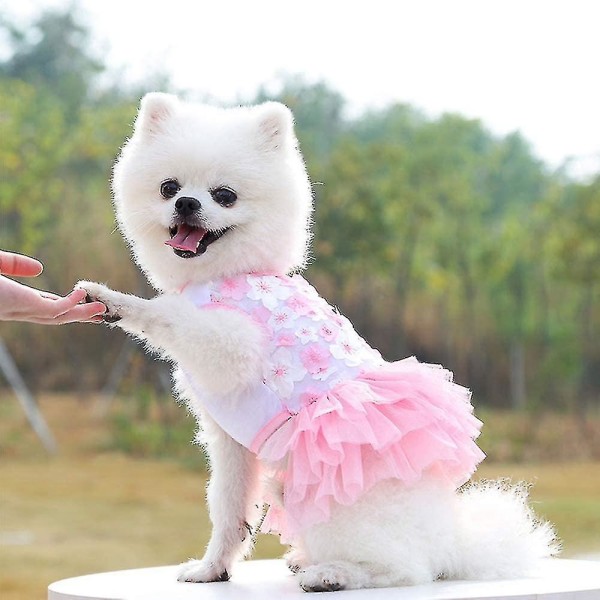 2 kpl Chihuahua Mekot Tytöille Koirille Nainen Koira Mekko Söpö Lemmikki Pentu Vaatteet Asu Pehmeä Pinkki Kissa Vaatteet Puku Yorkie Dog Prinsessa Tutu Appare