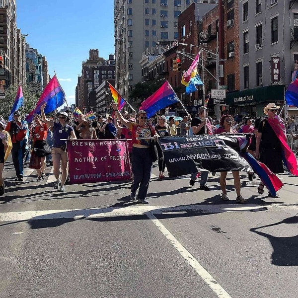 Biseksuelt flag til indendørs og udendørs - fejr fester og festivaler