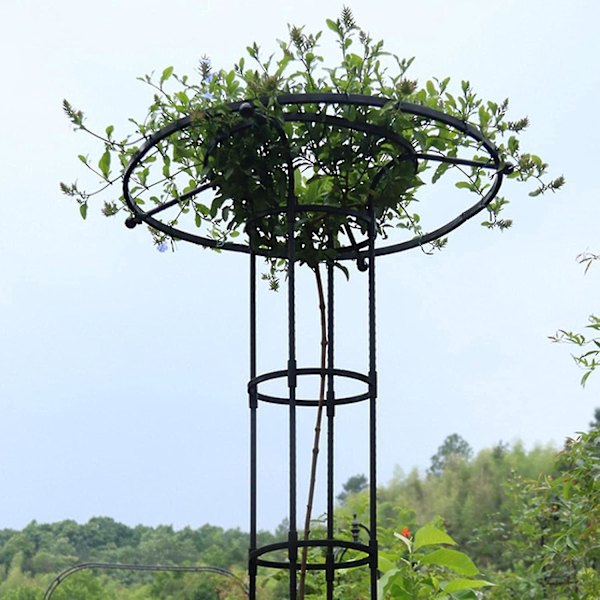 Vertikalt Trädgårdsstöd i Metall, Metallparaply Högt Växtstöd, Växtstöd för Klätterväxter och Blomsterställ, Ingen Montering Krävs