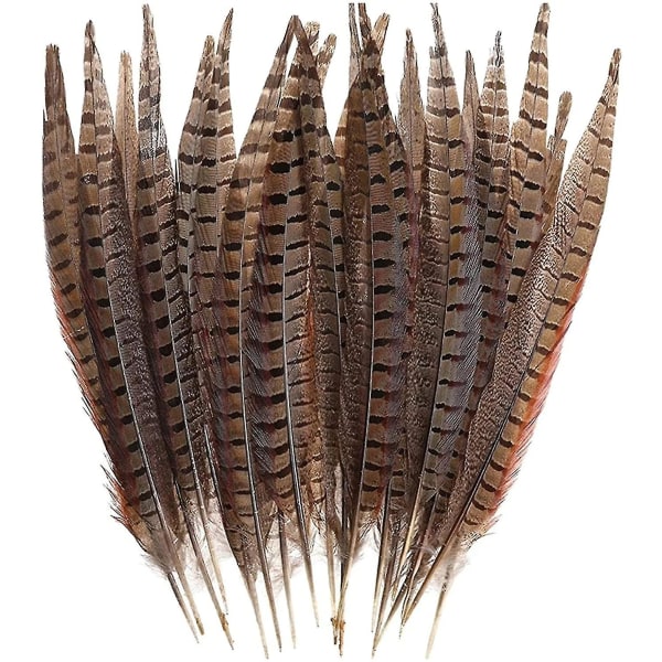 30 kpl luonnollisia fasaanin höyheniä, itse tehtäviä fasaaninpyrstöhöyheniä, 15-28 cm pehmeää alkuperäistä höyhentä hiuksiin Hatut askartelujuhlasisustus, luonnollinen väri