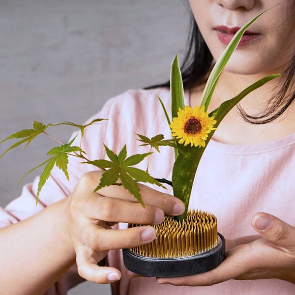 Blomsterfakir Kenzan Nålhållare Ikebana Mix 3-Pack
