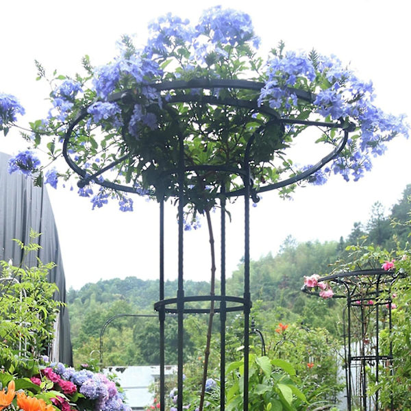 Vertikalt Trädgårdsstöd i Metall, Metallparaply Högt Växtstöd, Växtstöd för Klätterväxter och Blomsterställ, Ingen Montering Krävs