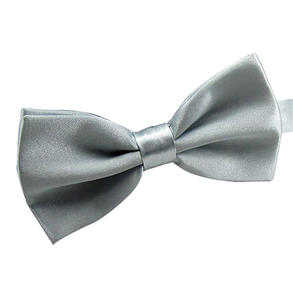 Fluga Enfärgad Lätt Att Bära Polyester Justerbar Fluga Förknuten för Formella Tillfällen Qinhai Silver