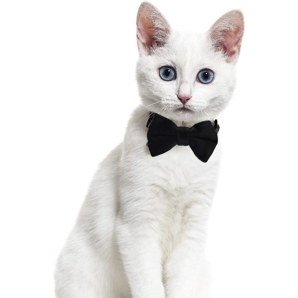 2 kpl Velvet Bowtie kissan kaulapanta kellolla säädettävällä Breakaway Kitten Small Pentu turvarusetti Kiinteä hääpunainen kissan kaulapanta tytöille pojille