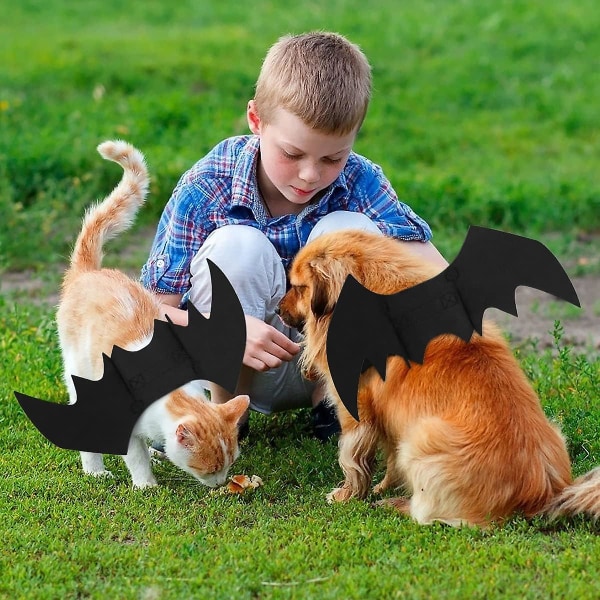 Halloween Hund Kattdräkt, Kattdräkt Halloween Hunddräkt Halloween Hunddräkt Fladdermus Halloweenkläder för katt