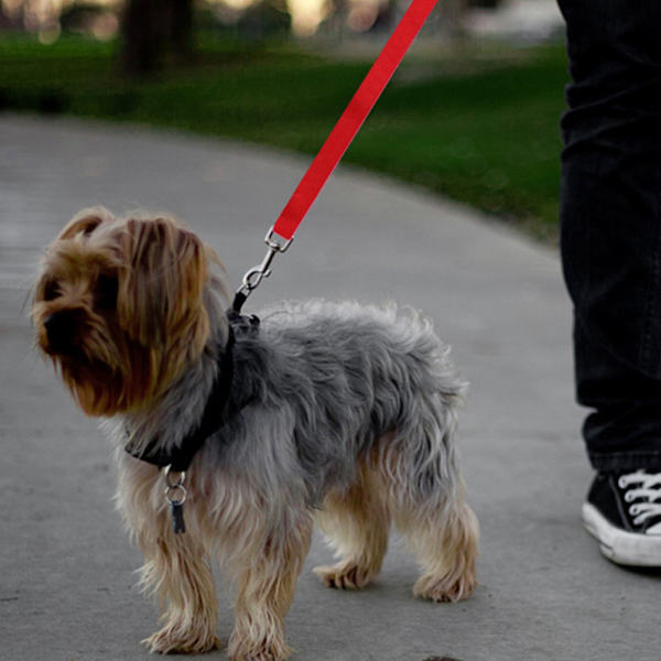 Ny bil säkerhetssele för husdjur Justerbar hundkoppel Red