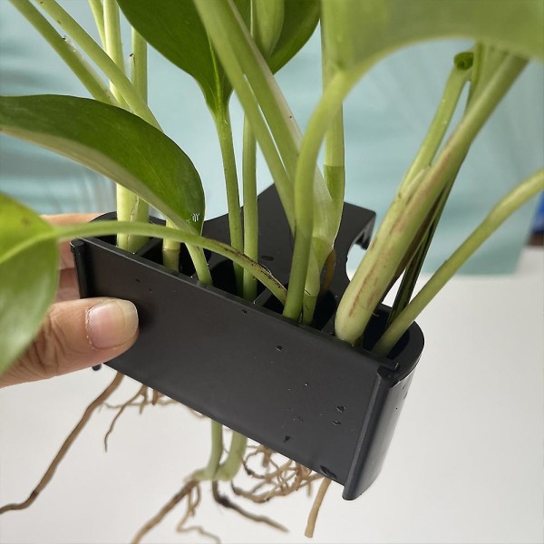 Akvarium hængende vandplanteholder akvarium planteholder til akvarium plantedyrkning dekoration Long Hook