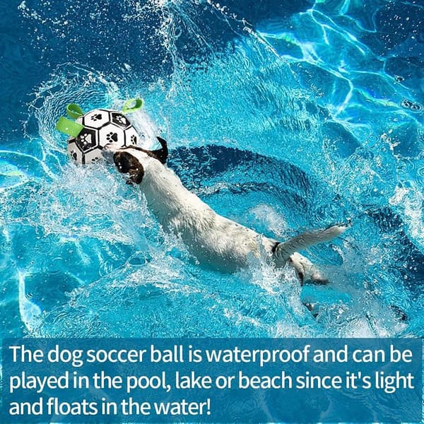 Hundelegetøj, Interaktive Hundefodbolde med Gribeflapper, Holdbare Hundebolde til Små og Mellemstore Hunde