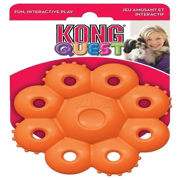 KONG Quest Star Pods Lille