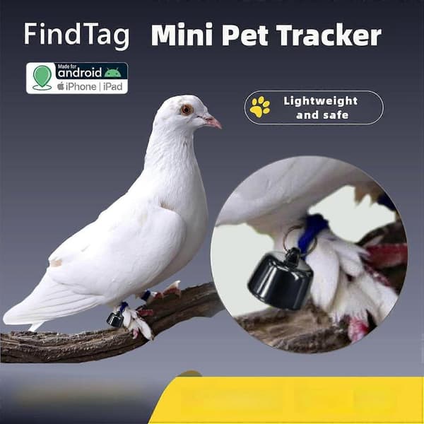 Mini Tracker for sporing av kjæledyr på iOS- og Android-enheter