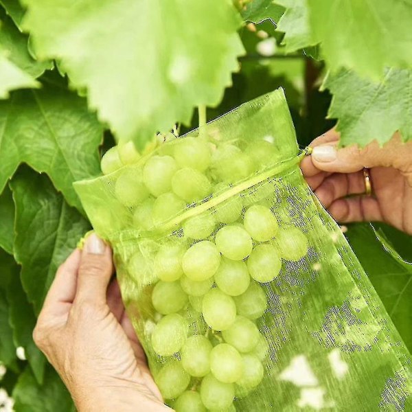 2023-100 st Bunch Protection Bag Grape Fruit Organza Påse med dragsko ger totalt skydd