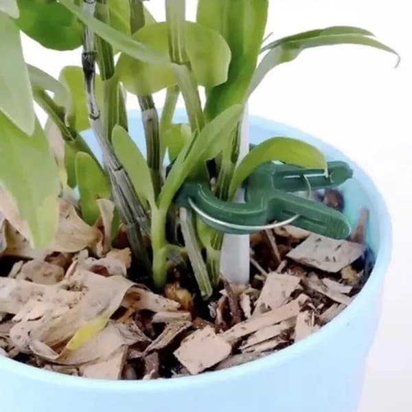 Planteklemmer / Clips - 108 stk