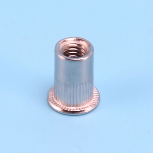 100 stk. 304 Rustfritt Stål Blindmutter Rivnut Innsettingsmutter M6x15mm