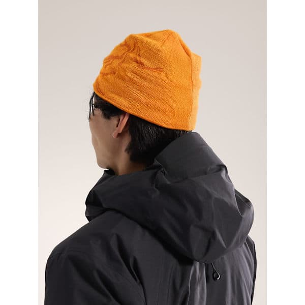 Arc'teryx Bird Head Toque Mössa Svart Merinoull Stickad Vintermössa Unisex Ljusgrå light gray