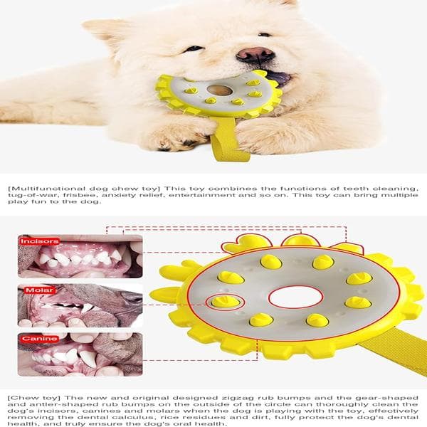 Hundeleke Hund Molar Tygg Ring Interaktiv Moro