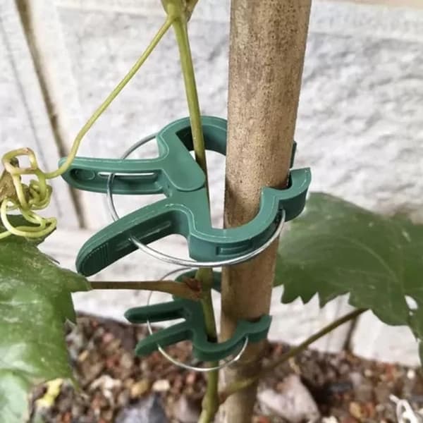 Planteklemmer / Clips - 108 stk