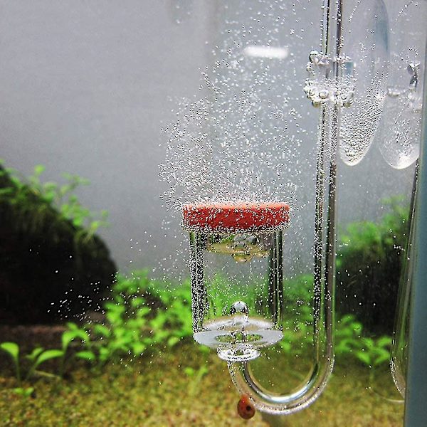 Co2-diffusor, klar akryl Co2-diffusor, Co2-diffusor for akvarieplanter gressvann(m)