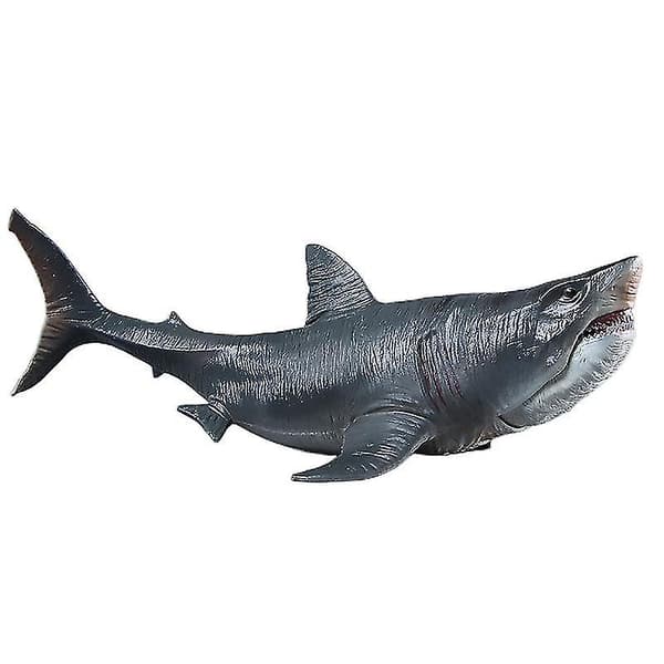 Marine Dyrmodell Megalodon Dekorativ Leke